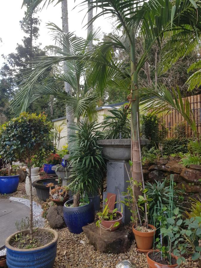 Mapleton Peaceful Provence Bnb Esterno foto