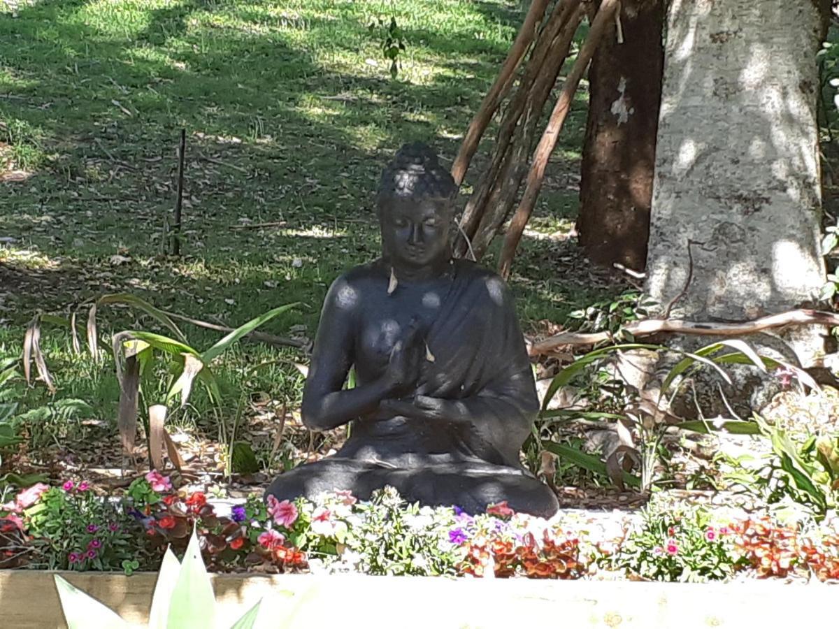 Mapleton Peaceful Provence Bnb Esterno foto