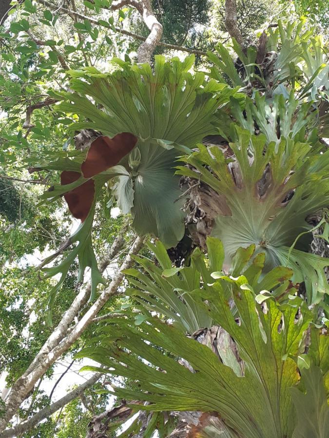 Mapleton Peaceful Provence Bnb Esterno foto